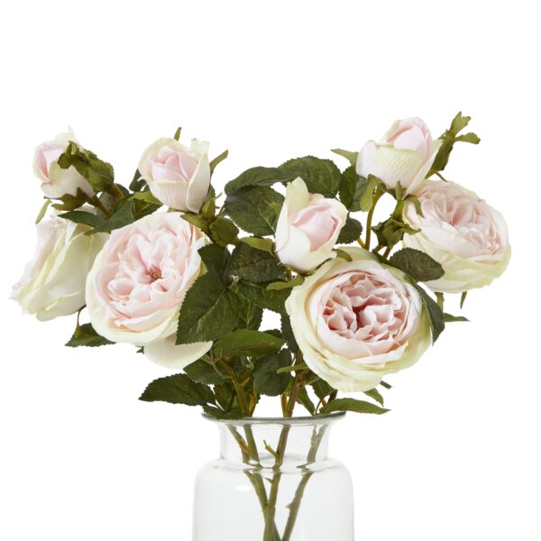 The Natural Garden Collection Pink Charity Rose - Image 3