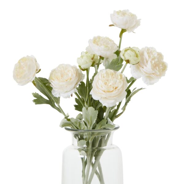 The Natural Garden Collection Apricot Ranunculus - Image 2
