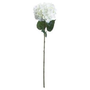 Iris & Adams Single White Hydrangea